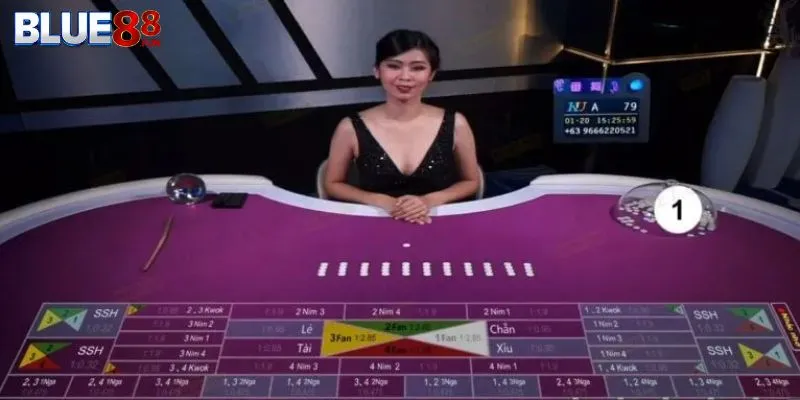 Bài Fan Tan Chọn cược cửa Kwok